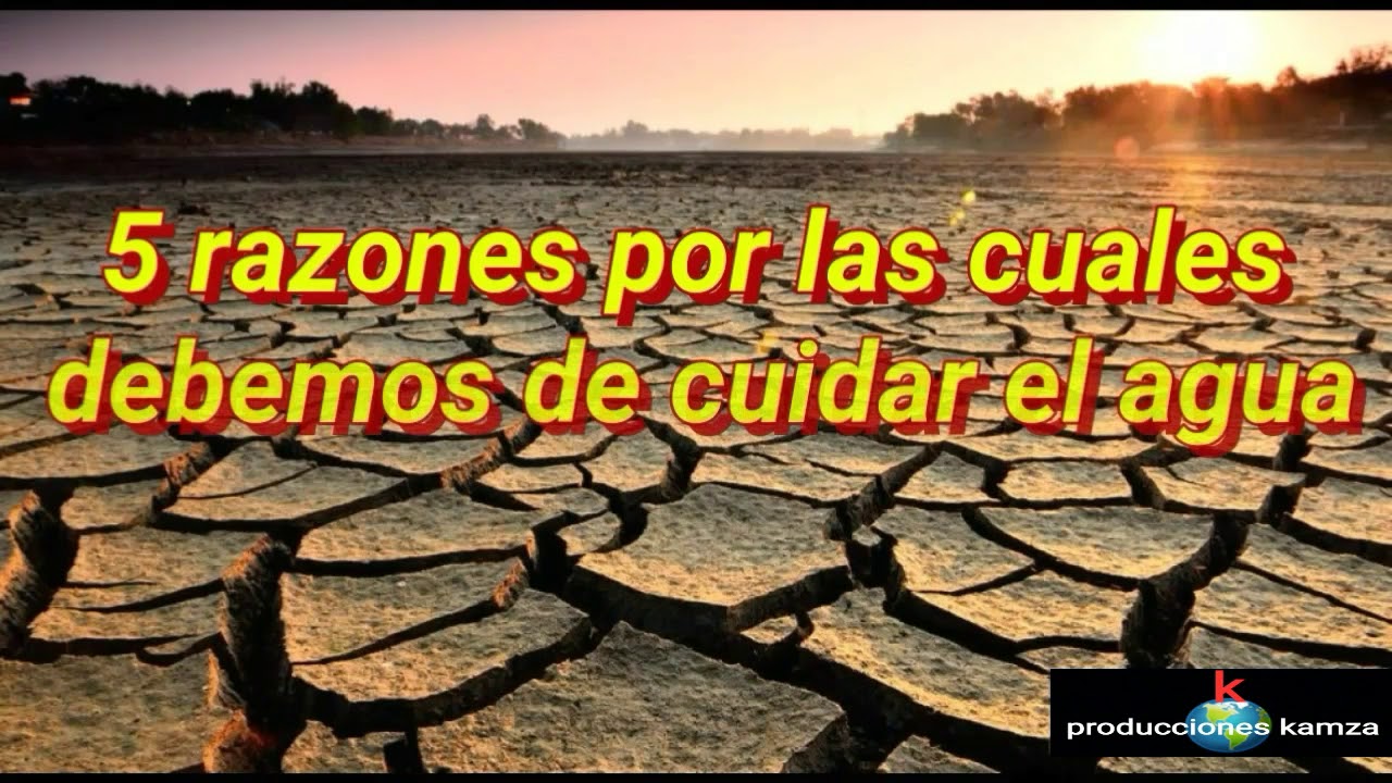 10 razones por las cuales debemos cuidar el agua