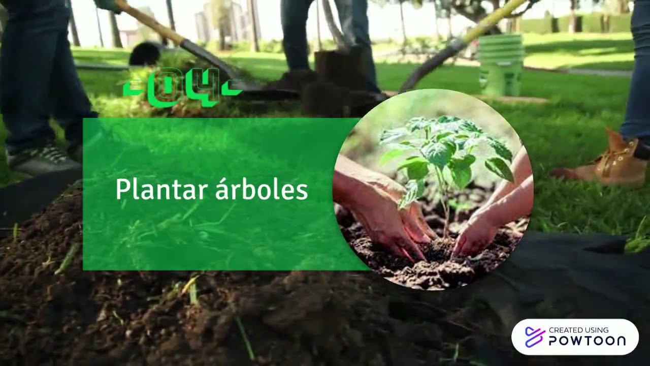 5 acciones para cuidar el suelo