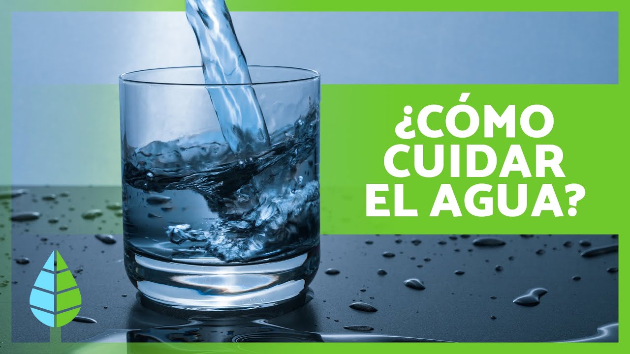 6 formas de cuidar el agua