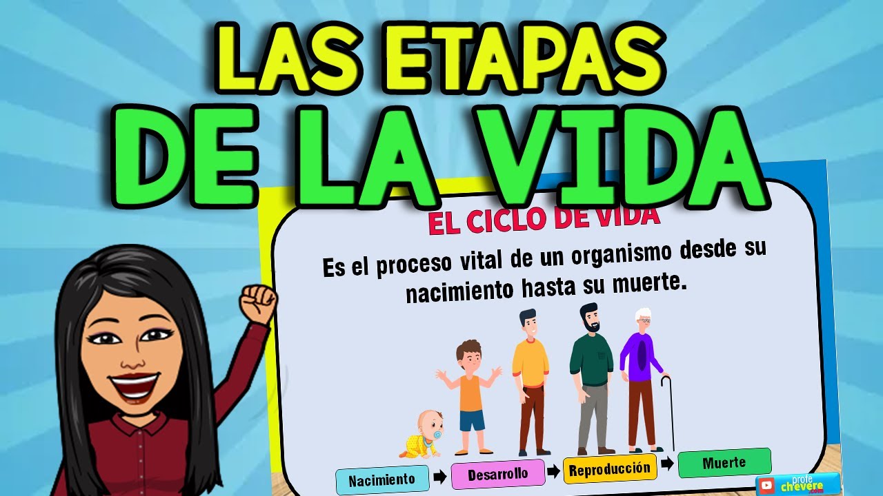 actividades sobre las etapas de la vida para niños