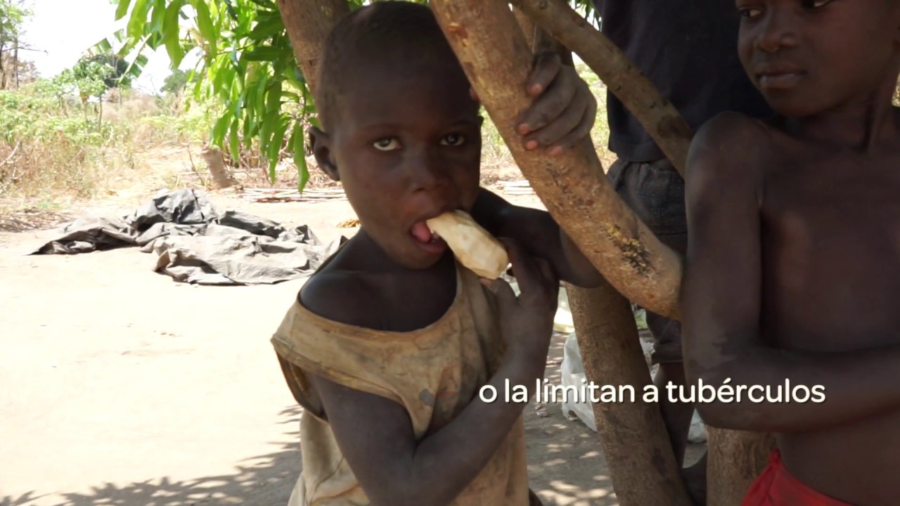 ayuda a los niños de africa
