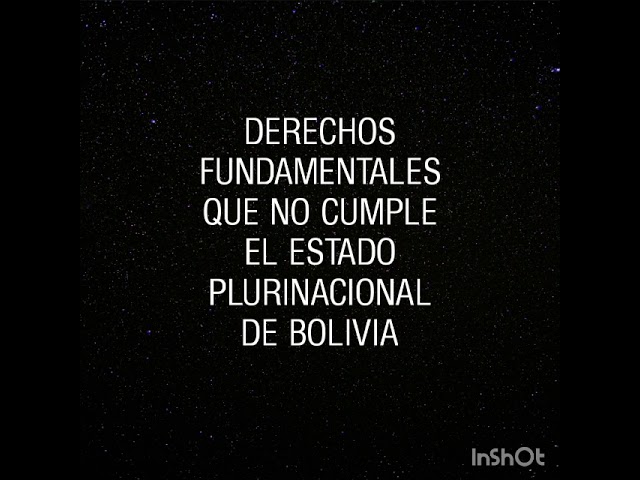 casos de vulneracion de derechos humanos en bolivia