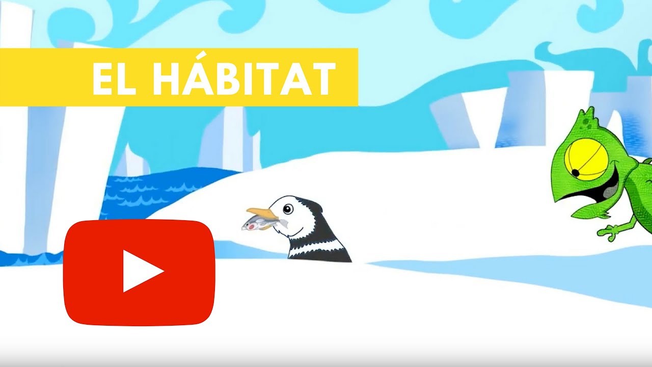 como cuidar el habitat de los animales
