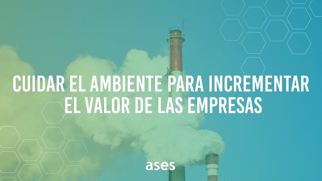 como cuidar el medio ambiente las empresas