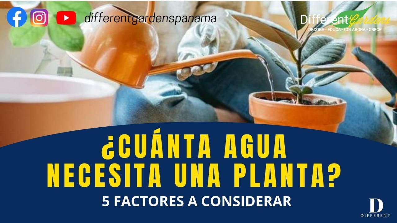 como saber cuanta agua necesita una planta