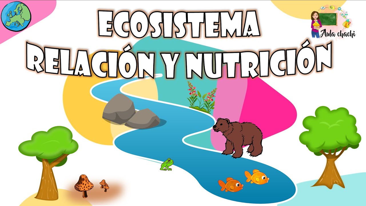 como se relacionan los seres vivos en un ecosistema