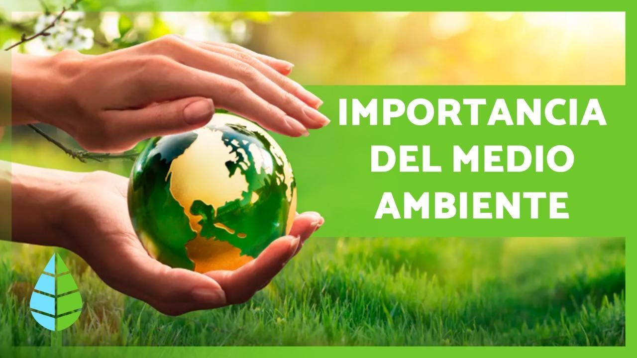 cuáles son las ventajas del medio ambiente