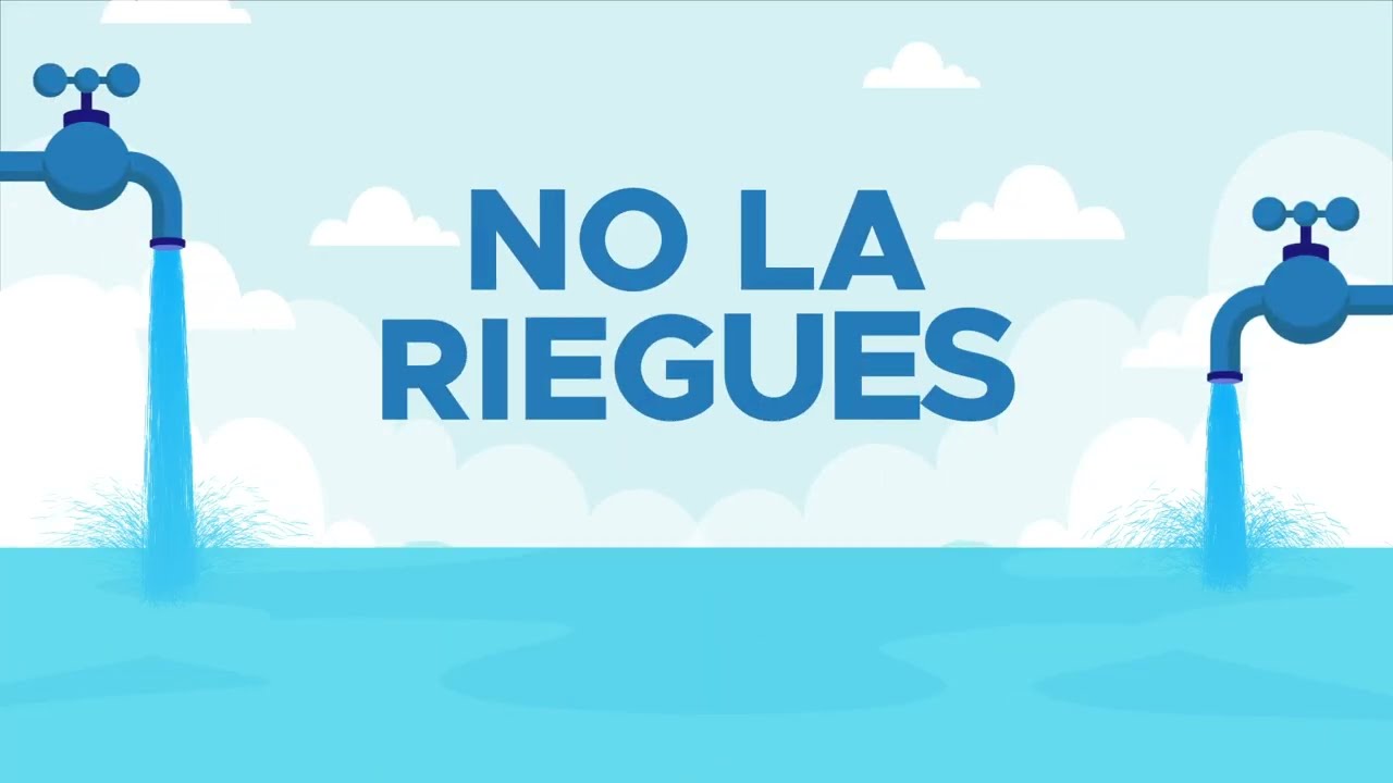 cuanta agua se desperdicia en el hogar
