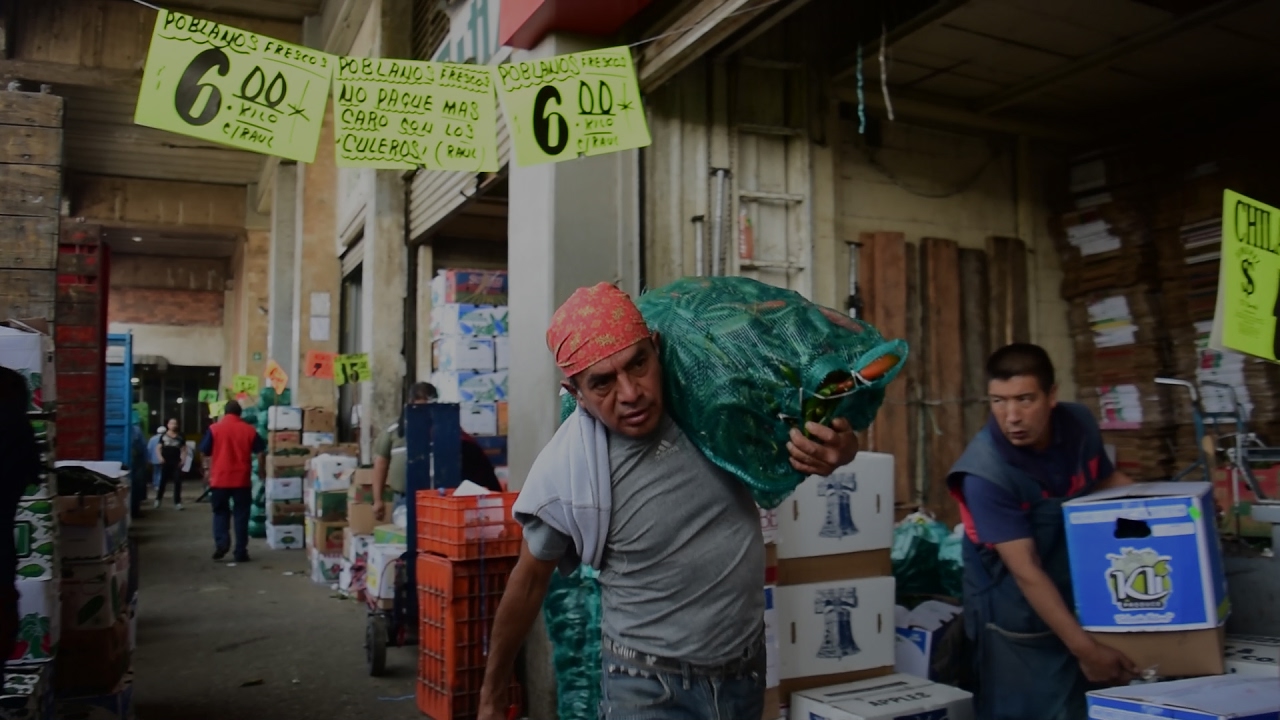 fundacion solo por ayudar banco de alimentos