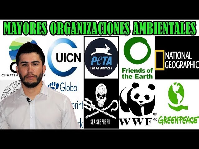 grupos que cuidan el medio ambiente