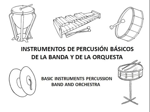 instrumentos de banda de musica escolar