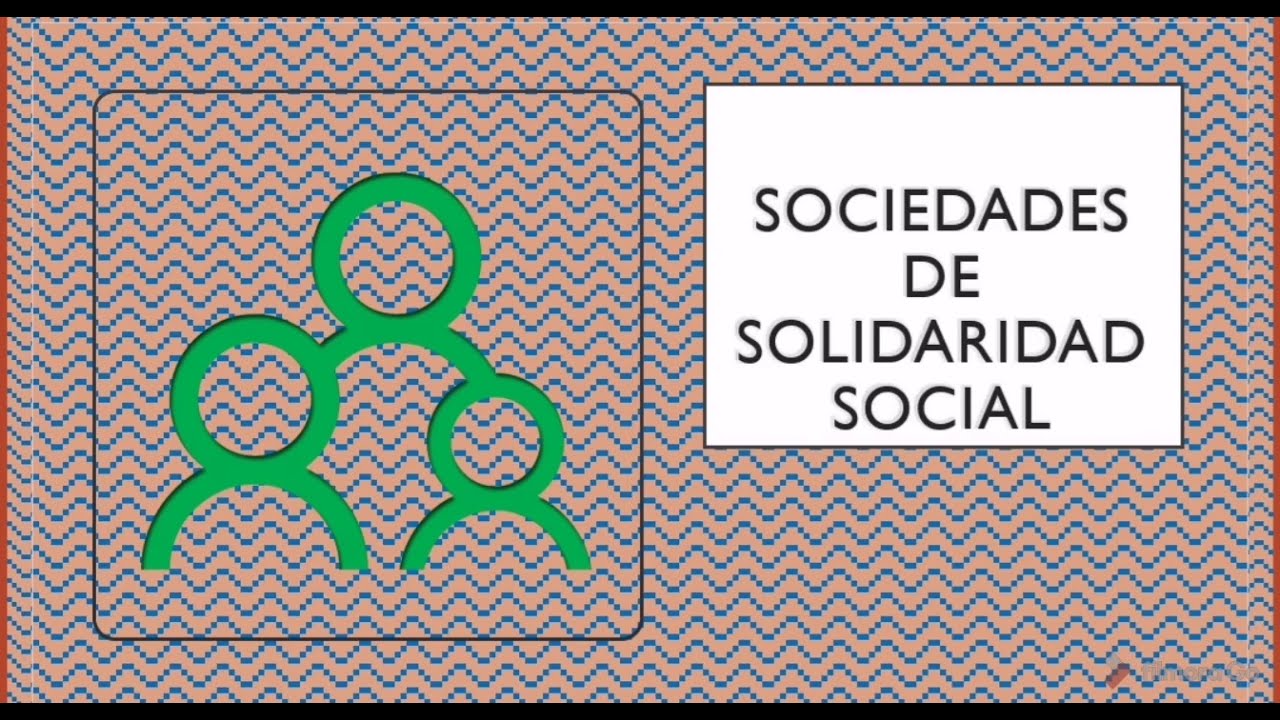 ley de sociedad de solidaridad social