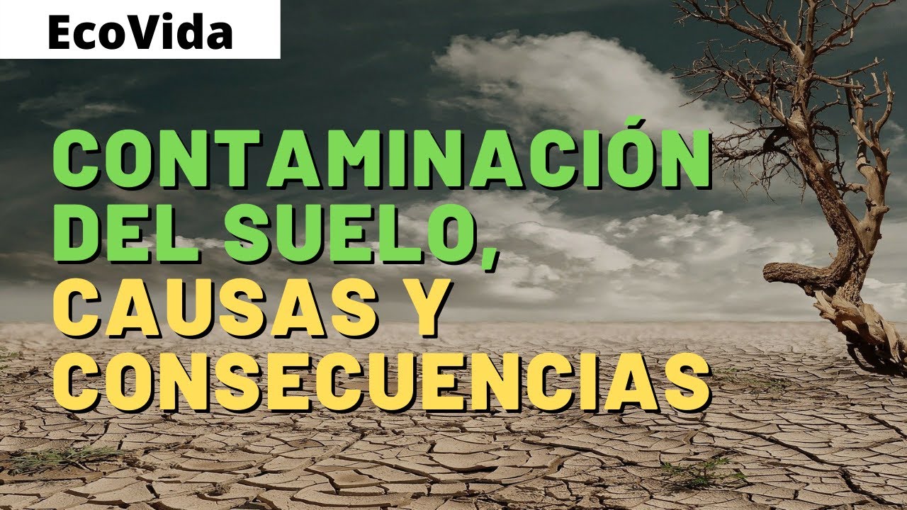 maneras de no contaminar el suelo