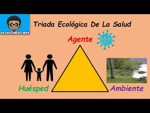 porque es importante la triada ecologica