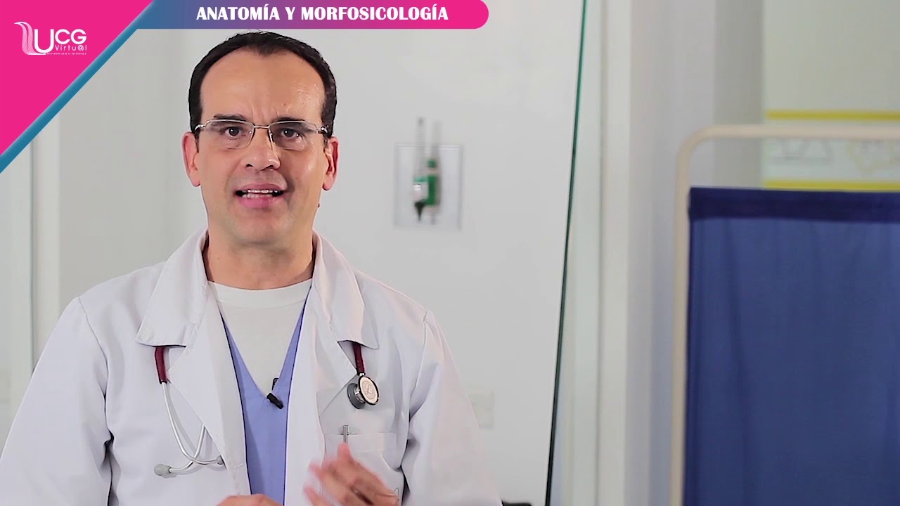 que es un proyecto de vida saludable