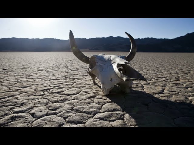 qué pasaría si no hubiera agua
