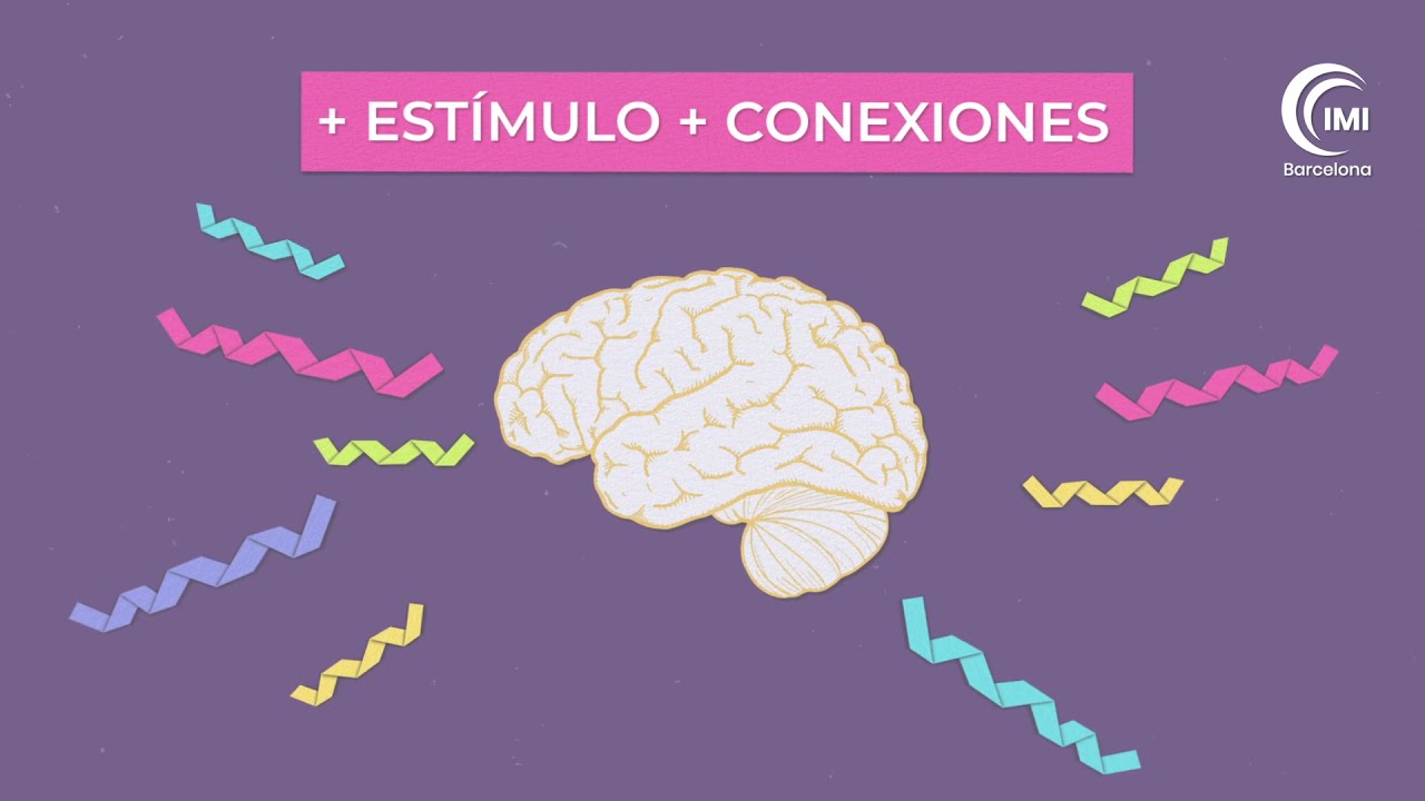 rol del niño en su proceso de aprendizaje
