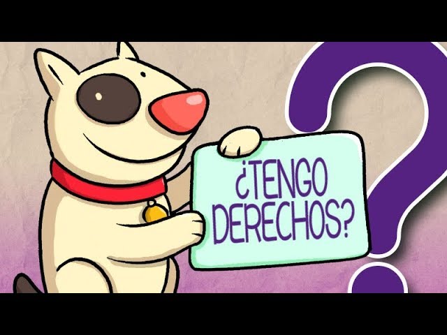 10 argumentos sobre el maltrato animal