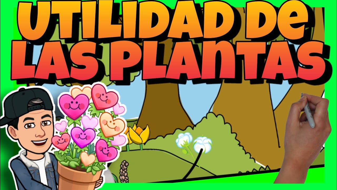 10 beneficios que nos dan las plantas