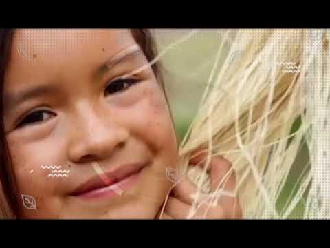 26 de enero día mundial de la educación ambiental