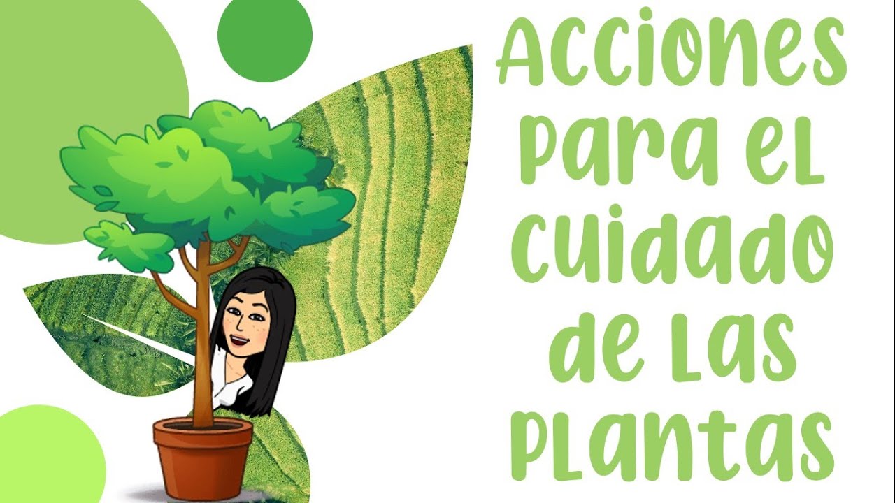 3 acciones para cuidar las plantas
