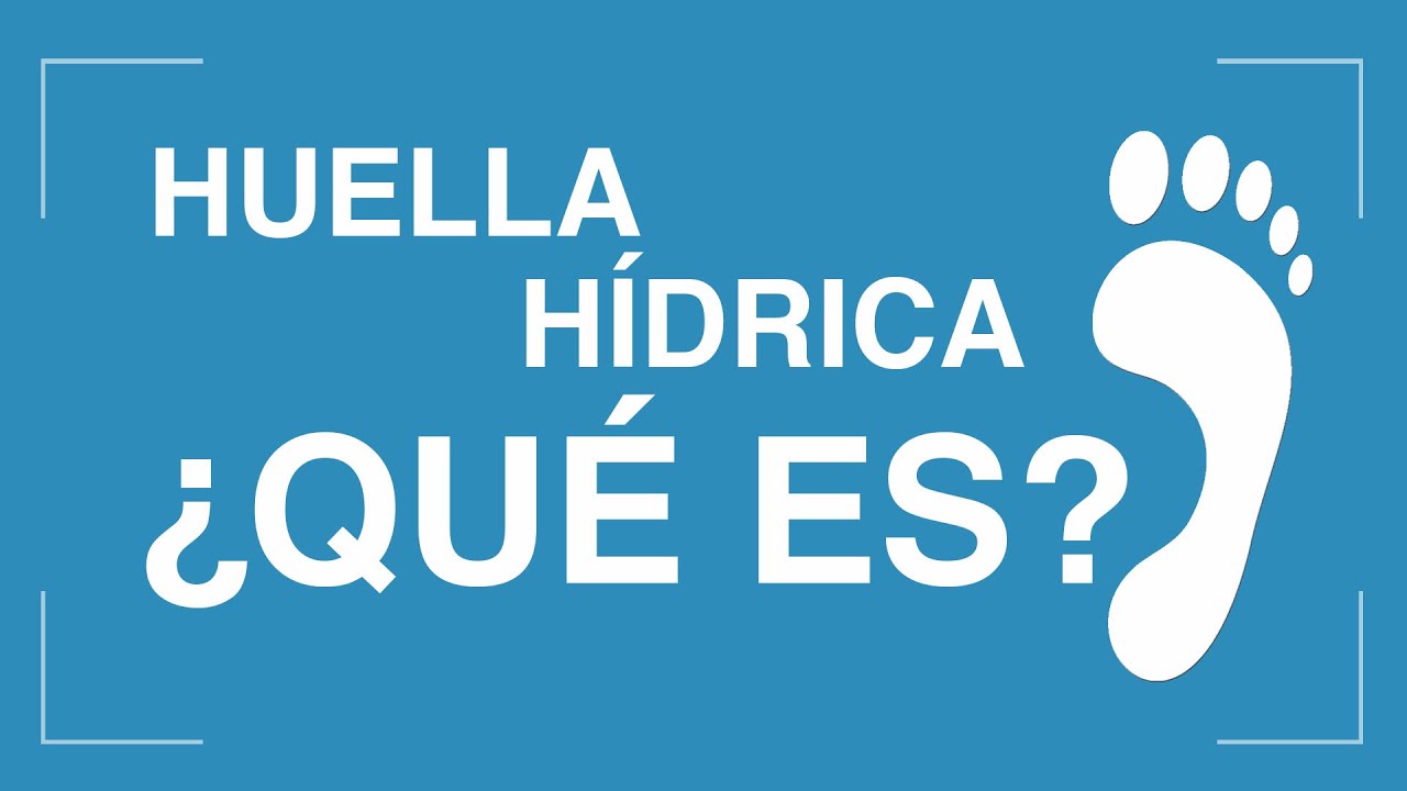 acciones para mitigar el impacto de nuestra huella hídrica