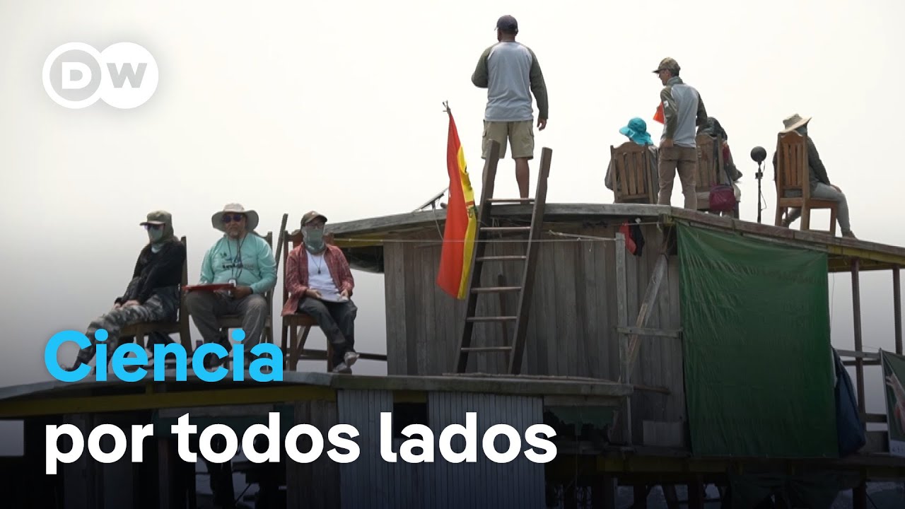 actividades de animales en peligro de extinción