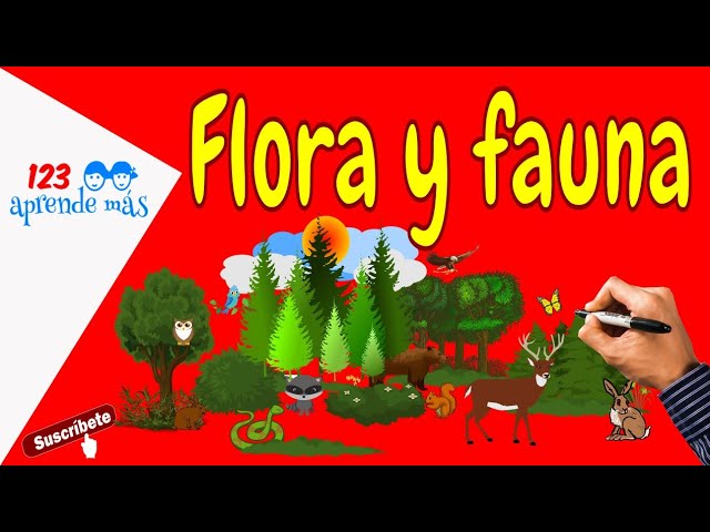 actividades de flora y fauna para niños de primaria