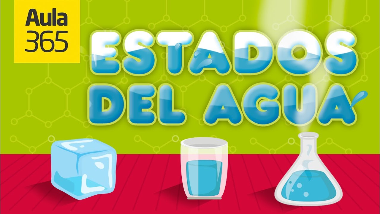 actividades de los estados del agua