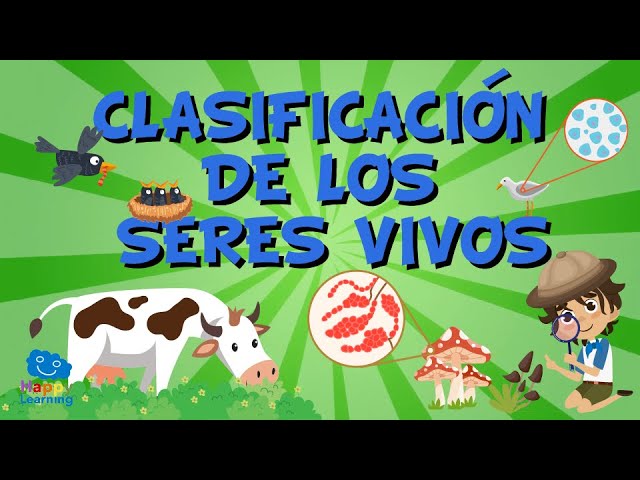 actividades sobre caracteristicas de los seres vivos para primaria