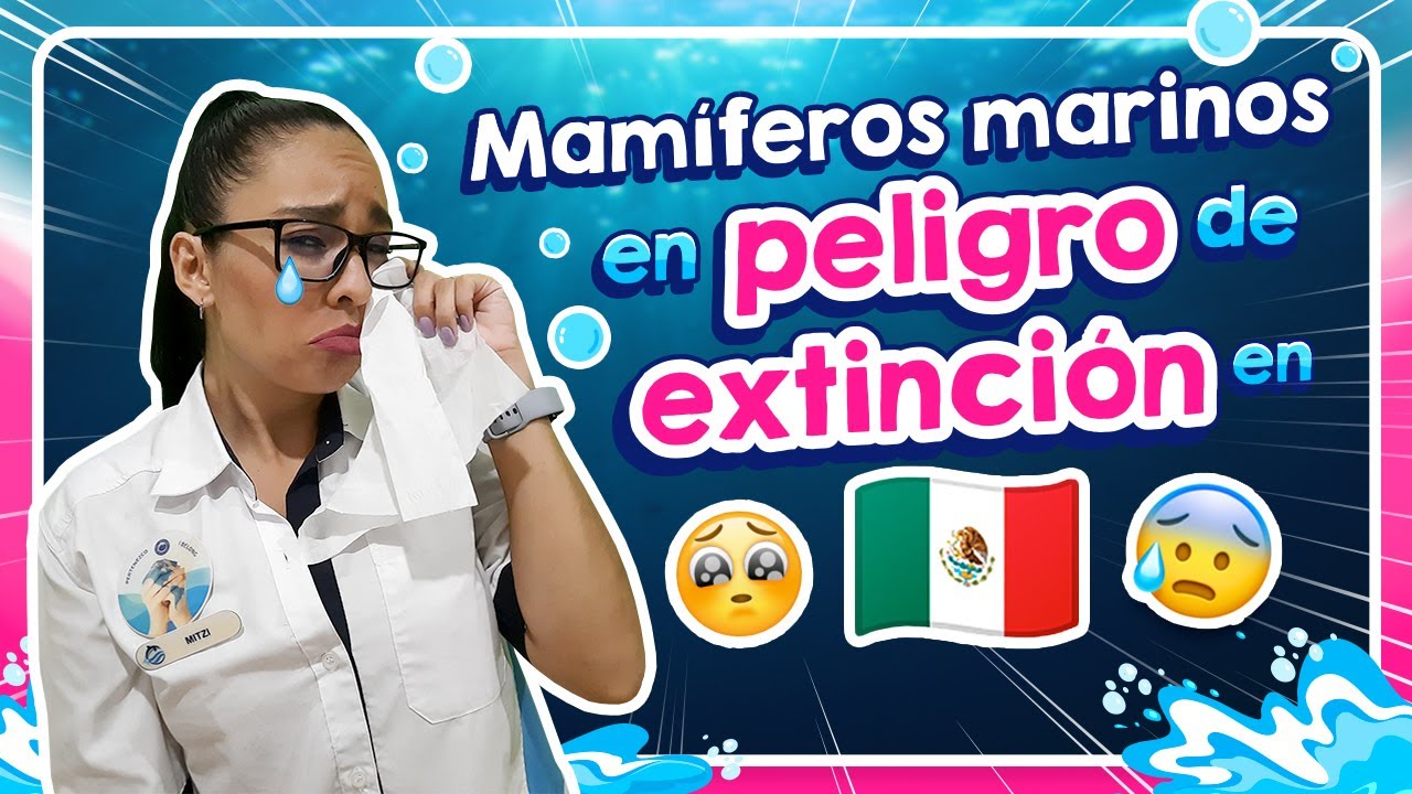 animales acuáticos en peligro de extinción en méxico