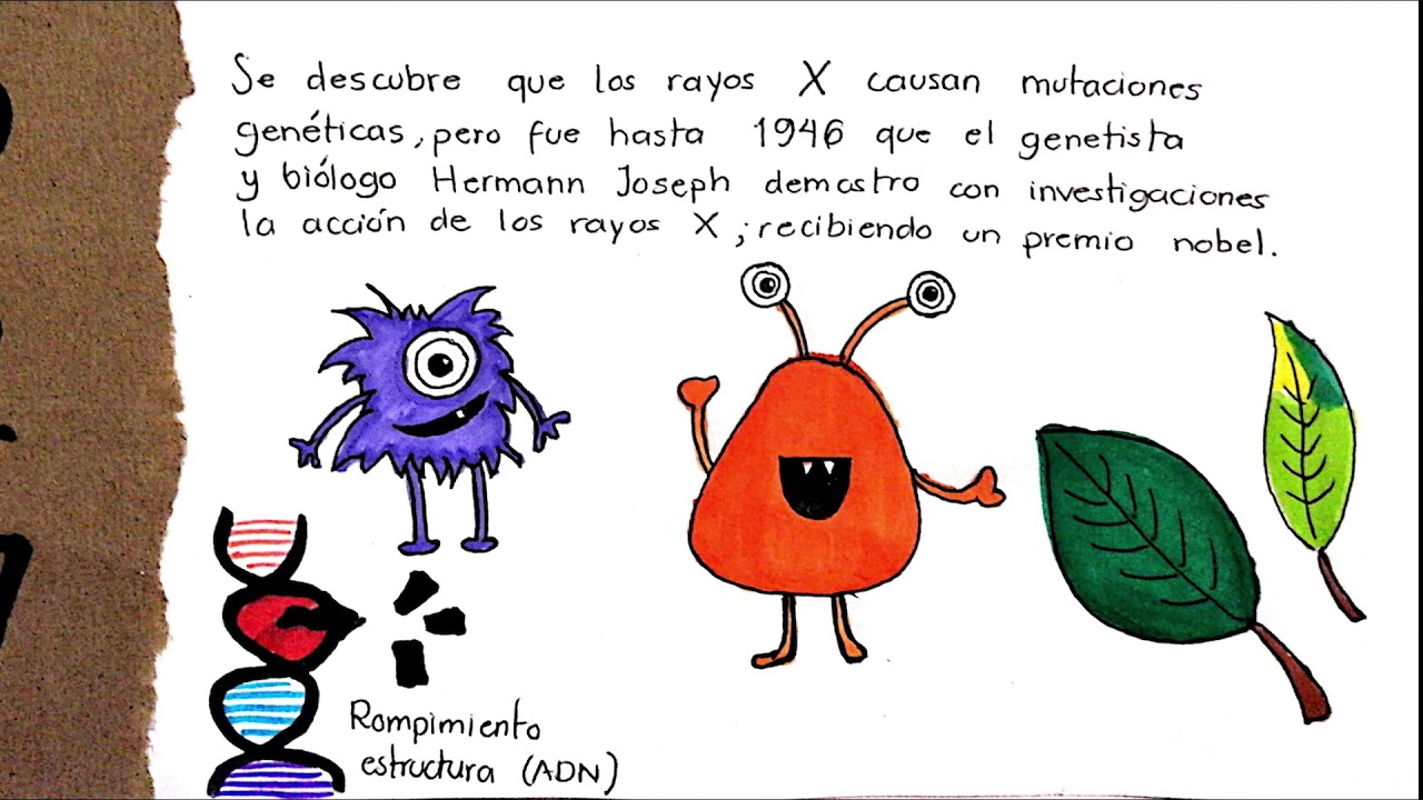 avances cientificos en mexico linea del tiempo