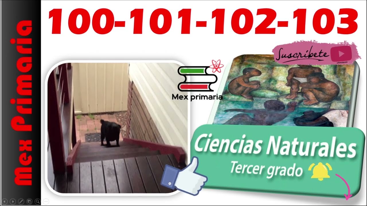 ayuda para tu tarea tercer grado ciencias naturales bloque 3