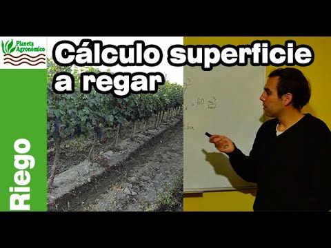 cantidad de agua para riego por metro cuadrado
