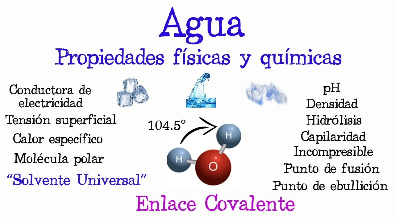 caracteristicas fisicas del agua de mar