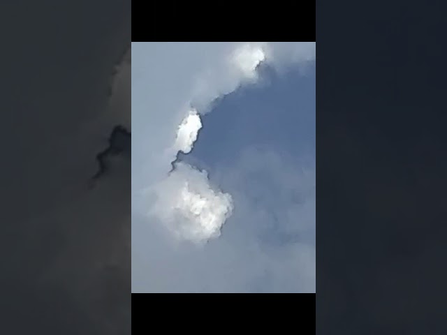 carta para cuidar el medio ambiente