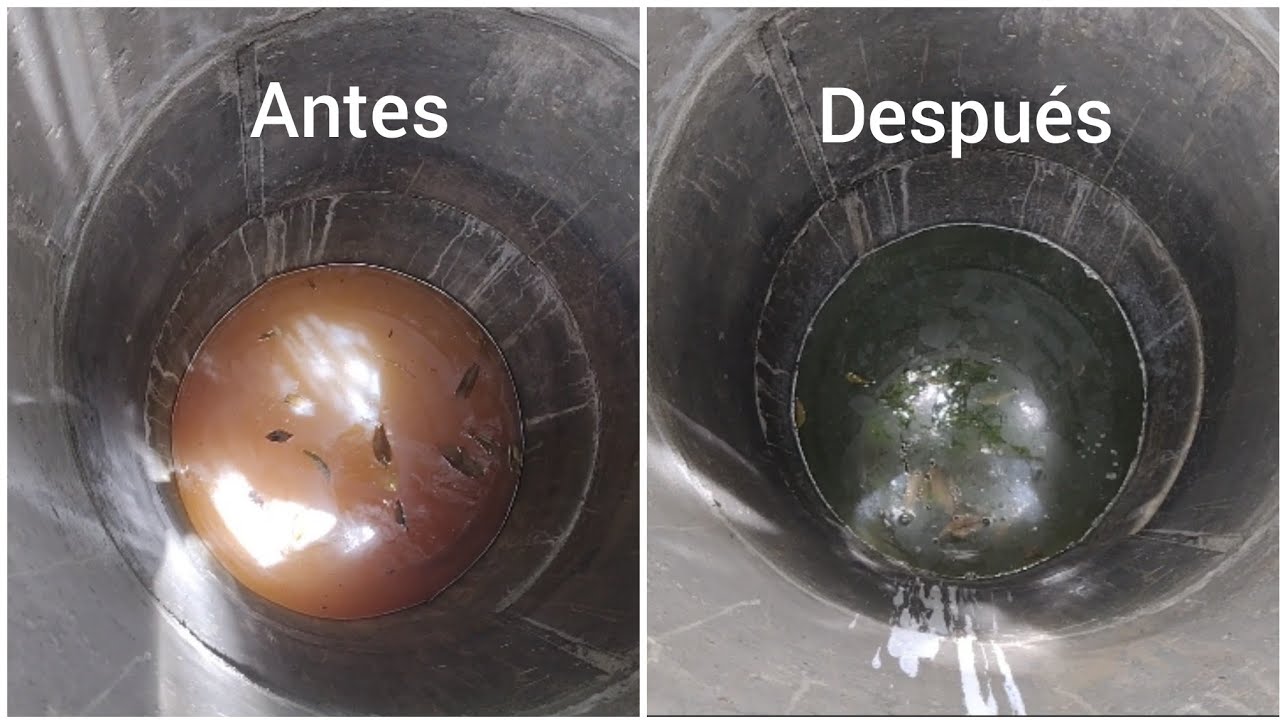 como aclarar el agua de pozo