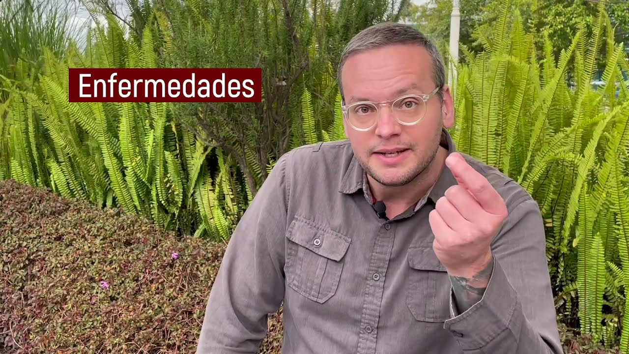 como afecta el cambio climatico a los animales y plantas