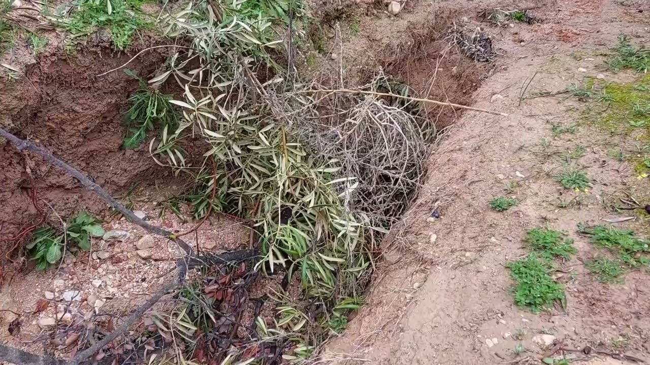 como controlar la erosion del suelo