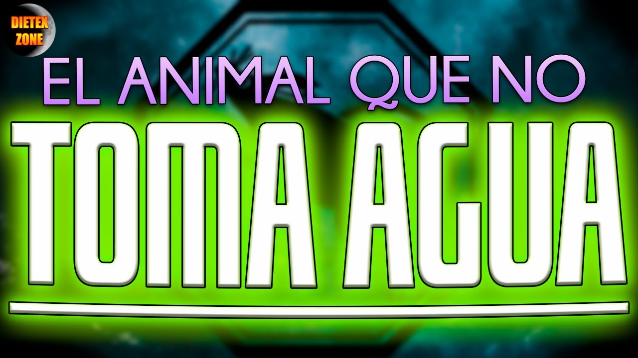 como influye el agua en los animales