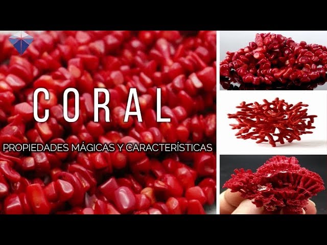 como saber si el coral es autentico