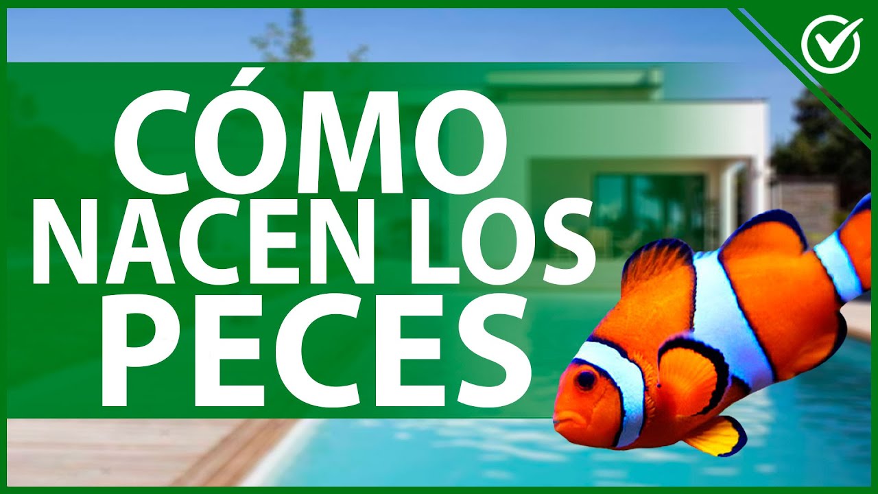 como se reproducen los animales acuáticos