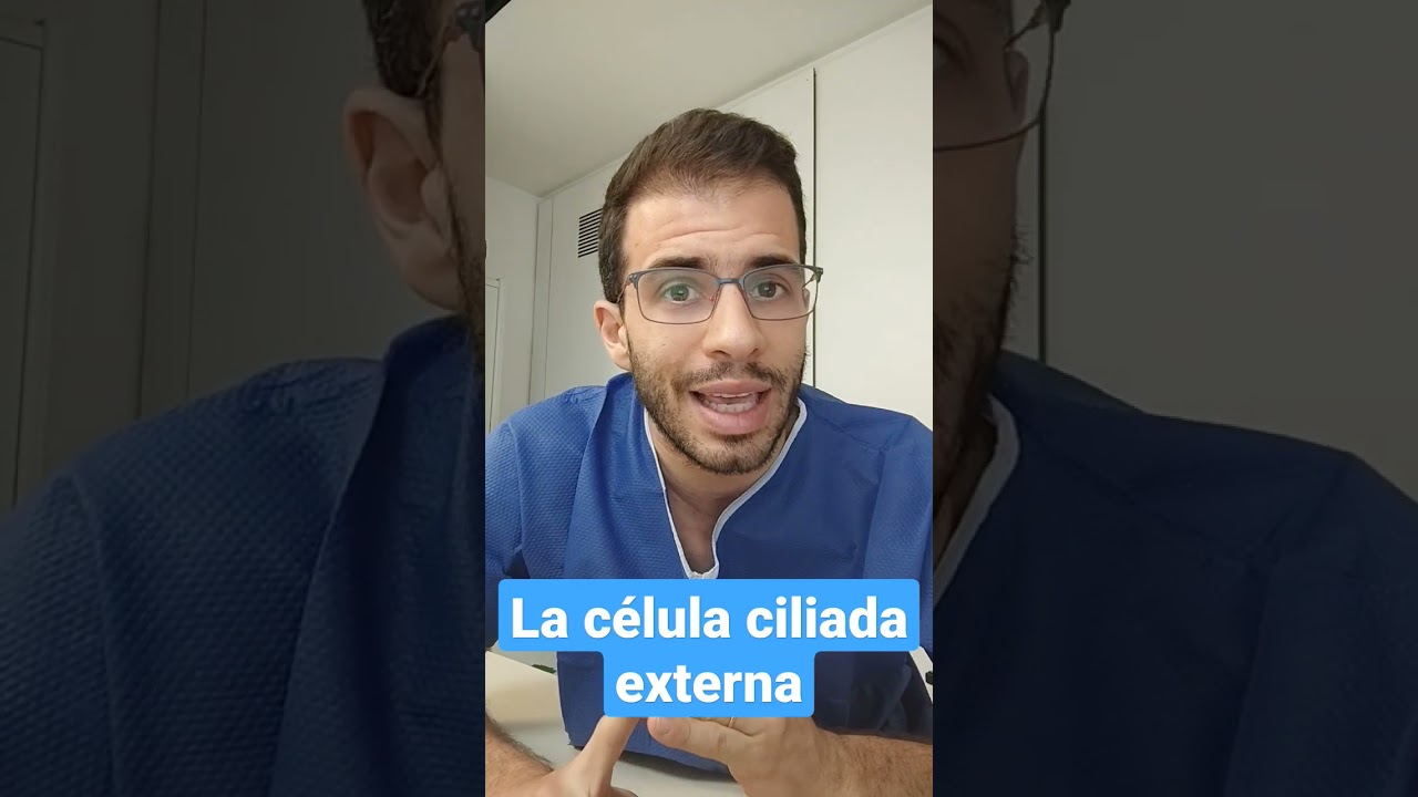 concentración mineral contenida en el oído