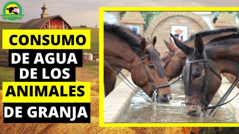 Consumo de Agua en los Animales: Importancia, Necesidades y Consejos