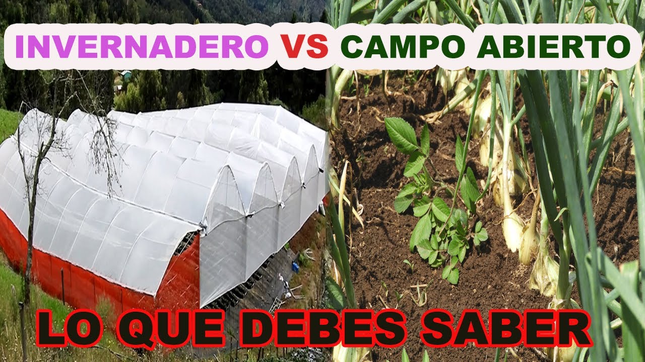 cual es la funcion de un invernadero