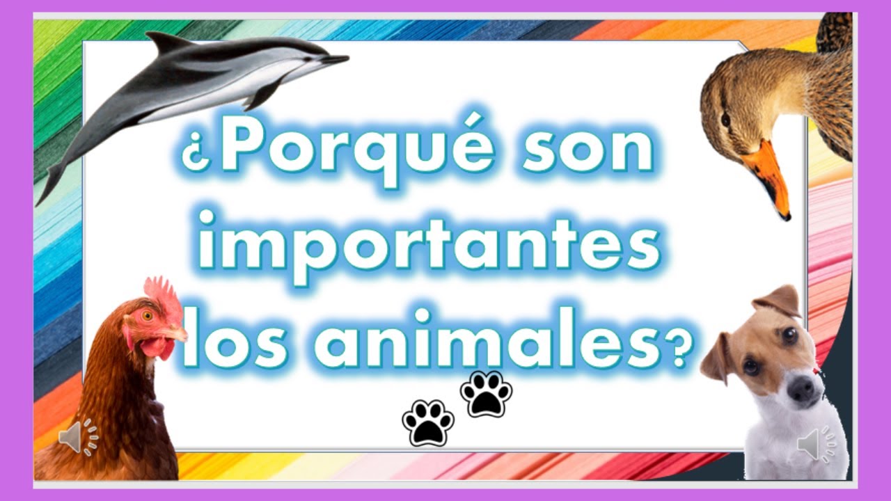 cual es la importancia de los animales