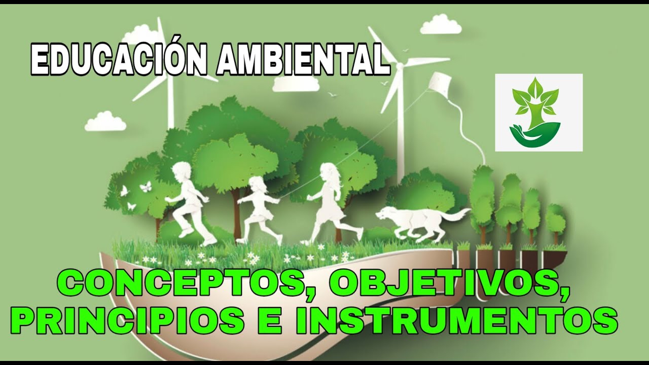 cuales son los principios de la educacion ambiental