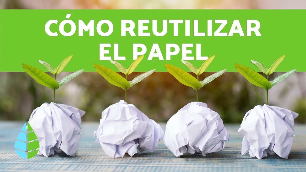 cuanto tarda en desintegrarse el papel