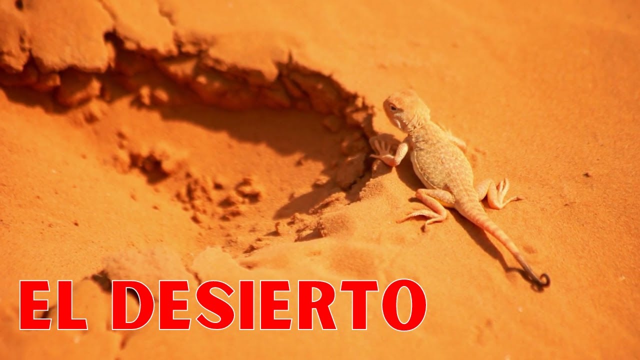 cuantos desiertos hay en mexico y cuales son sus nombres