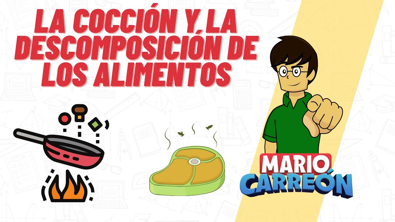 descomposicion de los alimentos para niños